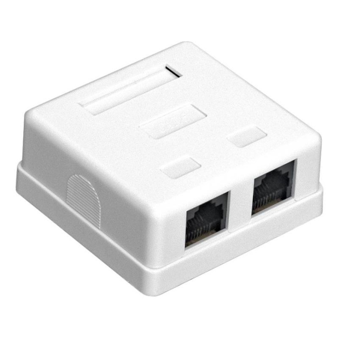 Розетка внешняя двойная ExeGate SM2-RJ45-C6 RJ-45 кат.6 UTP Krone/110 EX292845RUS