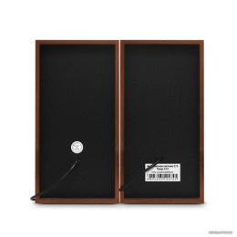 Акустическая система 2.0 ExeGate Tango 312 (питание USB, 2х3Вт (6Вт RMS), 80-20000Гц, темное дерево, Color Box) EX287058RUS
