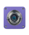 Микроскоп стереоскопический цифровой MAGUS Stereo D8T BASE