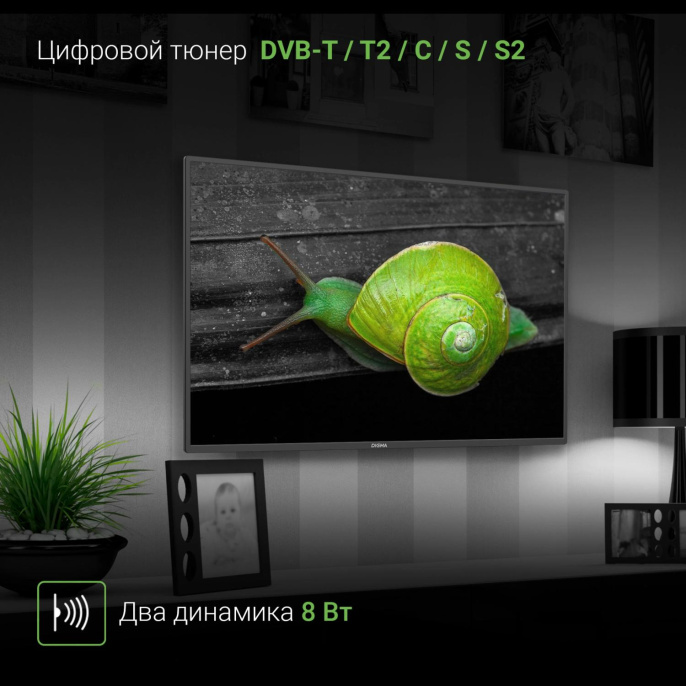 Телевизор LED Digma 40" DM-LED40MBB21 черный FULL HD 60Hz DVB-T DVB-T2 DVB-C DVB-S DVB-S2 USB WiFi