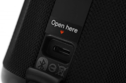 Колонка портативная Xiaomi 40Вт, черный [qbh4275gl]