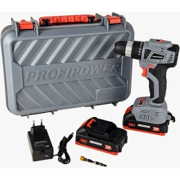 Аккумуляторный бесщеточный шуруповерт Profipower MKBL-18BT 18В,Li-ion-2шт, 2,0Ач, 0,8-10мм,40нм, магнитная бита, З/У, в кейсе E0146