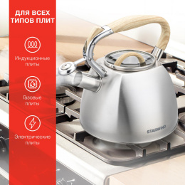 Металлический чайник StarWind Daily,  2.8л,  серый [sw-ch1308]
