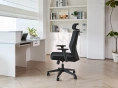 Кресло офисное компьютерное EVOLUTION ErgoLine 3 Black