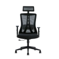 Кресло офисное компьютерное EVOLUTION ErgoLine 3 Black