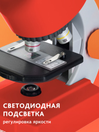 Микроскоп Bresser Junior 40x-640x, красный