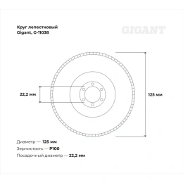 Круг лепестковый (125x22.2 мм; P100) Gigant G-11038