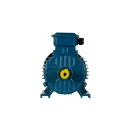 Электродвигатель 5АИ 100 L2 5.5/3000 IM 1081 01.01.213567