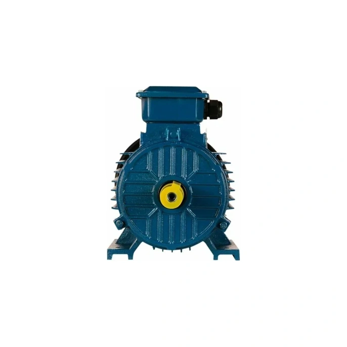 Электродвигатель 5АИ 100 L2 5.5/3000 IM 1081 01.01.213567