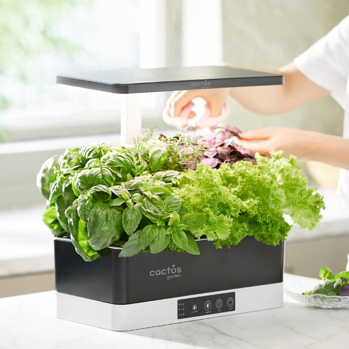 Гидропонная установка Cactus Garden 3л 24 черный (CS-LEDPOT-06)