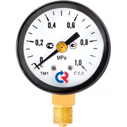 Манометр общетехнический РОСМА ТМ-210Р.00 0-2.5МПа ДК50 М12х1.5, класс точности 2.5 D070-01618