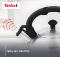 Чайник металлический Tefal Wawe N4210117 2.5л. серебристый 3110602015