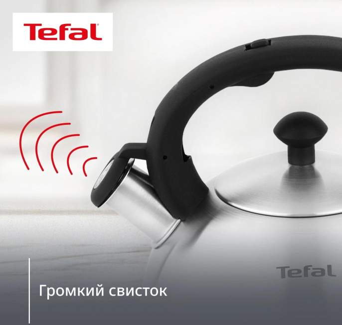 Чайник металлический Tefal Wawe N4210117 2.5л. серебристый 3110602015