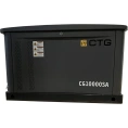 Электроагрегат газопоршневой CG10000SA в кожухе CTG 4687204619052