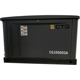 Электроагрегат газопоршневой CG10000SA в кожухе CTG 4687204619052