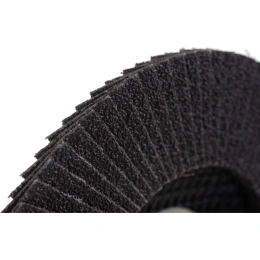 Круг лепестковый (125х22,2 мм; P60) Inforce 11-01-039