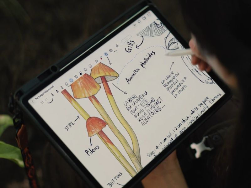 HUAWEI MatePad 12 X PaperMatte: планшет для работы и творчества с «бумажным» дисплеем