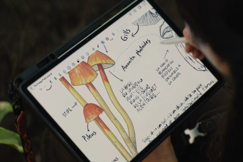 HUAWEI MatePad 12 X PaperMatte: планшет для работы и творчества с «бумажным» дисплеем