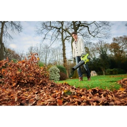 Воздуходувка Ryobi RY36BLXB-0 36В 5133005646