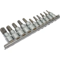 Набор головок со вставками TORX РROFFI (11 шт; T10-T60; 1/4"+3/8"; CrV) ABTOMTOOL 5443011