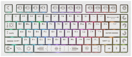 Клавиатура Дарк Проджект CM81 Zeno DP-CM81ZWC проводная, игровая, механическая, подсветка RGB, горячая замена клавиш, g3ms Sapphire свитчи, USB Type-C, кабель 1.8м, цвет: белый