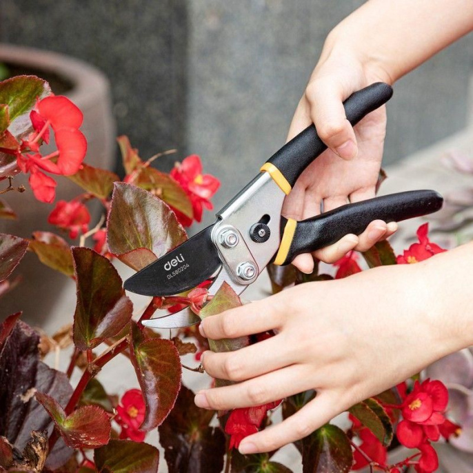 Секатор садовый Deli DL580204 лезвия с тефлоновым покрытием, длина 200мм, макс.диаметр резки 15мм, сталь 55С