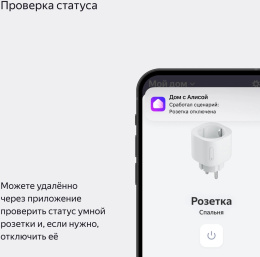 Умная розетка ЯНДЕКС Matter, EU, Wi-Fi, черный [yndx-00540blk]