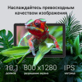 10.1" Планшет Digma Z10 3/32 GB SC9863A 4G, 1280 x 800, Android 15 Go, серый [da6b0p01]