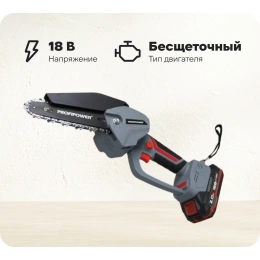 Аккумуляторная бесщеточная цепная пила Profipower MKGST-18V (Li-ion-2шт, 2.0Ач, 0-4500 об/мин, З/У, коробка) E0097