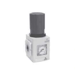 Регулятор давления с манометром NXE2-1/4-R004 1/4 дюйма Camozzi SRF40-7221-2010M4