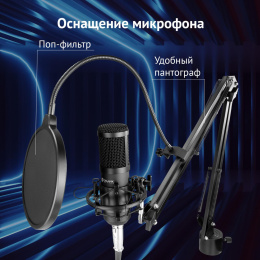 Микрофон проводной Оклик SM-600G 2.5м черный 1796784