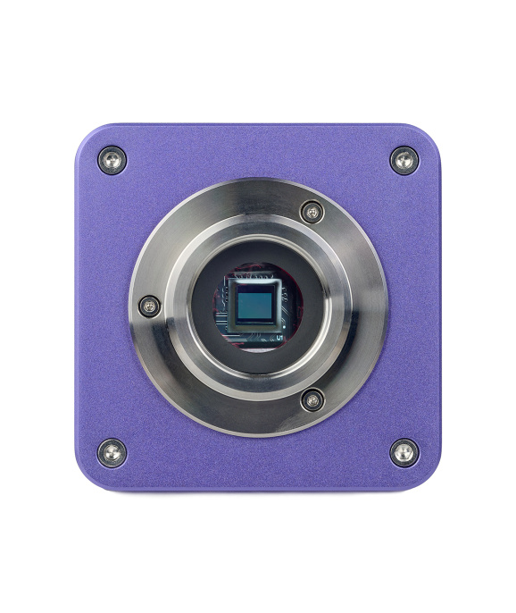 Микроскоп стереоскопический цифровой MAGUS Stereo D8T BASE