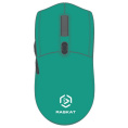 Мышь Raskat MG006TR