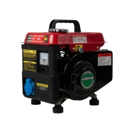 Бензиновый генератор инверторного типа DDE DPG1101i