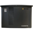 Электроагрегат газопоршневой CG18000SA в кожухе CTG 4687204619069