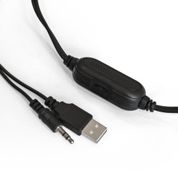 Акустическая система 2.0 ExeGate Accord 200 питание USB, 2х3Вт 6Вт RMS , 60-20000Гц,цвет черный, синяя подсветка, Color Box EX289685RUS