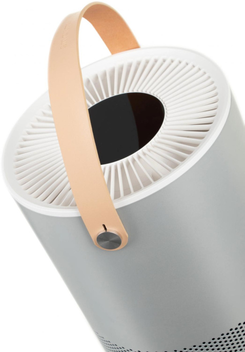 Очиститель воздуха Smartmi Air Purifier P1 (серебристый)