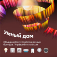 Умная колонка SBER Boom Mini SBDV-00095, 5Вт, с Салют, красный [sbdv-00095t]