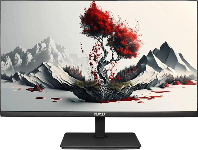 23.8" Монитор RDW COMPUTERS RDW2401K, "R", 1920x1080, IPS, 100Гц, 1хHDMI, 1хDP, черный [2401k/f00b0100v2a1h]