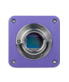 Микроскоп стереоскопический цифровой MAGUS Stereo D8T PLUS