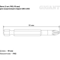 Бита (2 шт; PH2; 50 мм) для шуруповерта Gigant GBS 11032