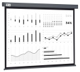 Экран Cactus Wallscreen CS-PSW-180X180-SG,  180х180 см, 1:1,  настенно-потолочный серый
