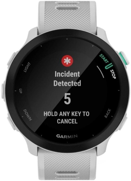 Смарт-часы Garmin Forerunner 55 1.04" LCD корп.белый рем.белый 010-02562-15