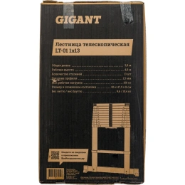Телескопическая лестница Gigant 3.8м LT-01 1x13