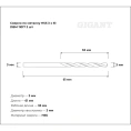 Сверло по металлу HSS (2 шт; 3x61 мм) Gigant DBM 11017