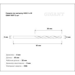 Сверло по металлу HSS (2 шт; 3x61 мм) Gigant DBM 11017