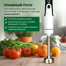 Погружной блендер 5 в 1 EVOLUTION HBS-0651 White