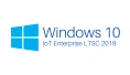 MS Win 10 IOT ENTERPRISE 2019 LTSC