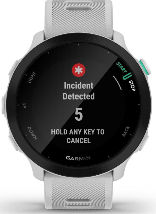 Смарт-часы Garmin Forerunner 55, 42мм, 1.04", белый [010-02562-11]