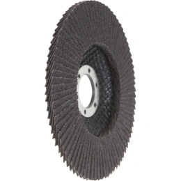 Круг лепестковый (125х22,2 мм; P60) Inforce 11-01-039